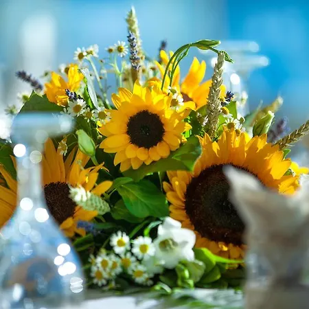 酒店 丽城酒店 卡拉马塔